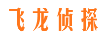 东西湖市私家调查